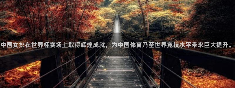世界杯 直播:中国女排在世界杯赛场上取得辉煌成就,为中国体育乃至世界竞技水平带来巨大提升。