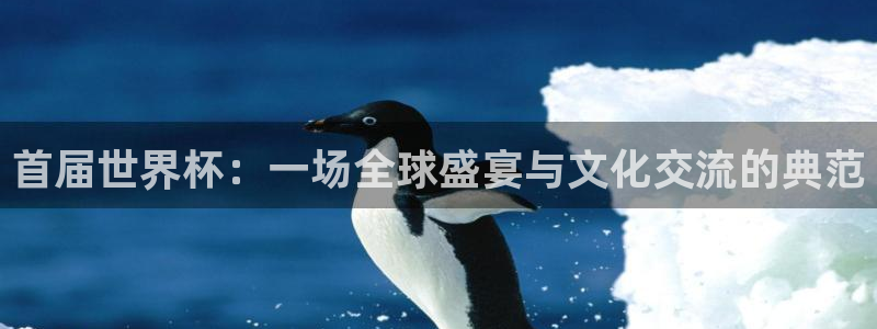 世界杯球队排名:首届世界杯:一场全球盛宴与文化交流的典范