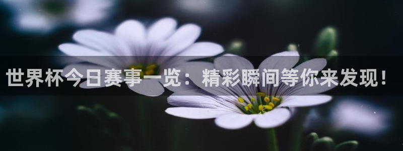 足球比分直播世界杯:世界杯今日赛事一览:精彩瞬间等你来发现!