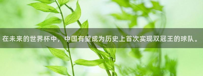看世界杯:在未来的世界杯中,中国有望成为历史上首次实现双冠王的球队。