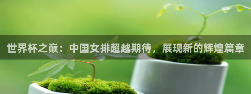 世界杯赛程表2026:世界杯之巅:中国女排超越期待,展现新的辉煌篇章