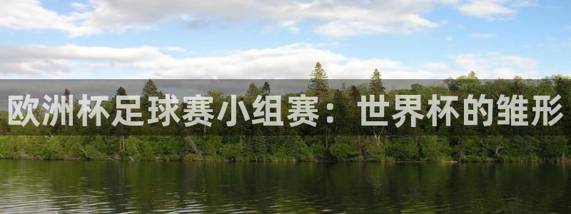 世界杯预选赛规则:欧洲杯足球赛小组赛:世界杯的雏形