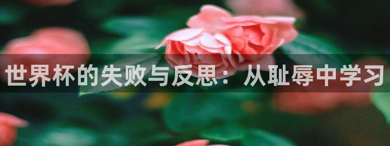 2026世预赛全部赛程:世界杯的失败与反思:从耻辱中学习