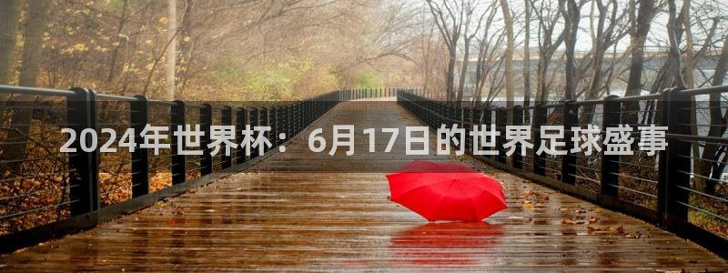 2026世界杯买球:2024年世界杯:6月17日的世界足球盛事